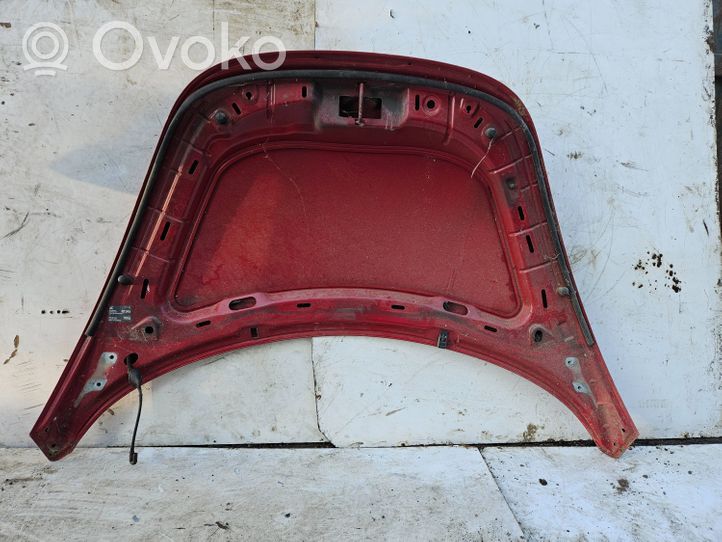 Volkswagen New Beetle Engine bonnet/hood 