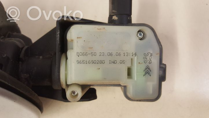 Citroen C6 Fuel tank cap 806650