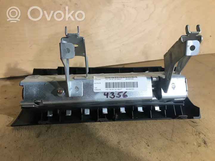 Citroen C6 Ceļu drošības spilvens 96446970ZD