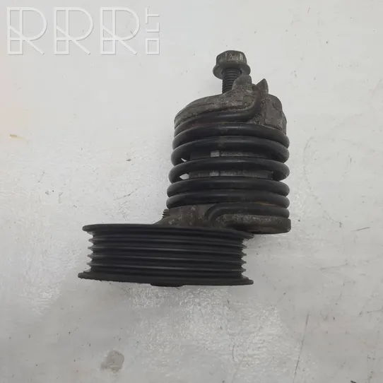 Audi A4 S4 B5 8D Napinacz paska wielorowkowego / Alternatora 