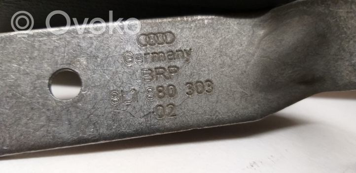 Audi A3 S3 8P Altra parte interiore 8L1880303