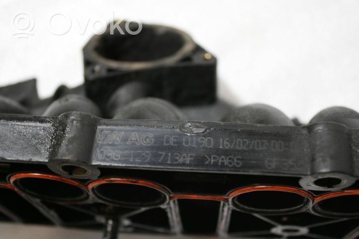 Skoda Octavia Mk2 (1Z) Collecteur d'admission 03G129713AF