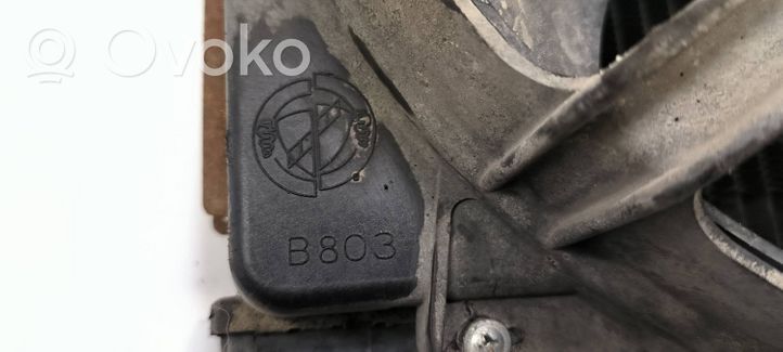 Fiat Punto (176) Jäähdyttimen lauhdutin 