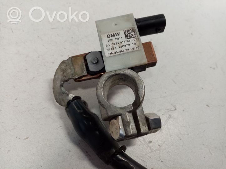 BMW X1 F48 F49 Cable negativo de tierra (batería) 61219117831