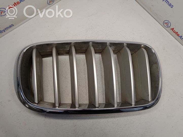 BMW X5 F15 Front grill 51117303108