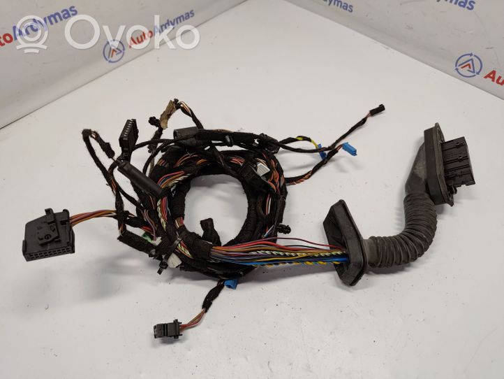 BMW X5 E70 Cablaggio porta anteriore 6977058