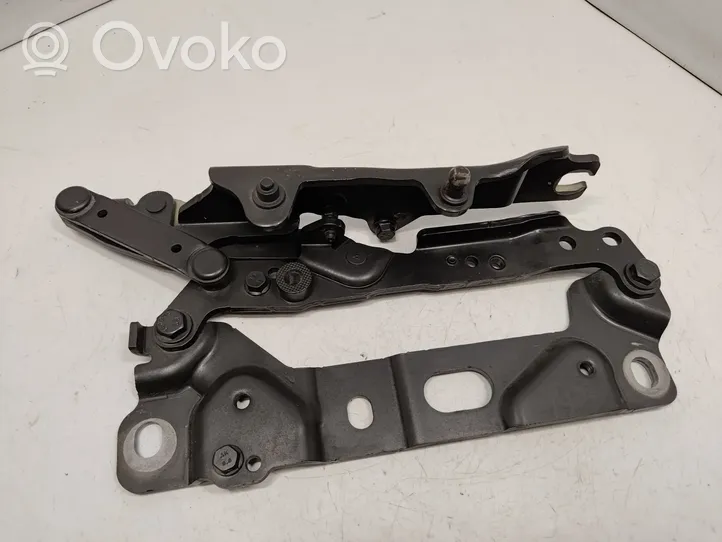 BMW 5 F10 F11 Cerniere del vano motore/cofano 7191327