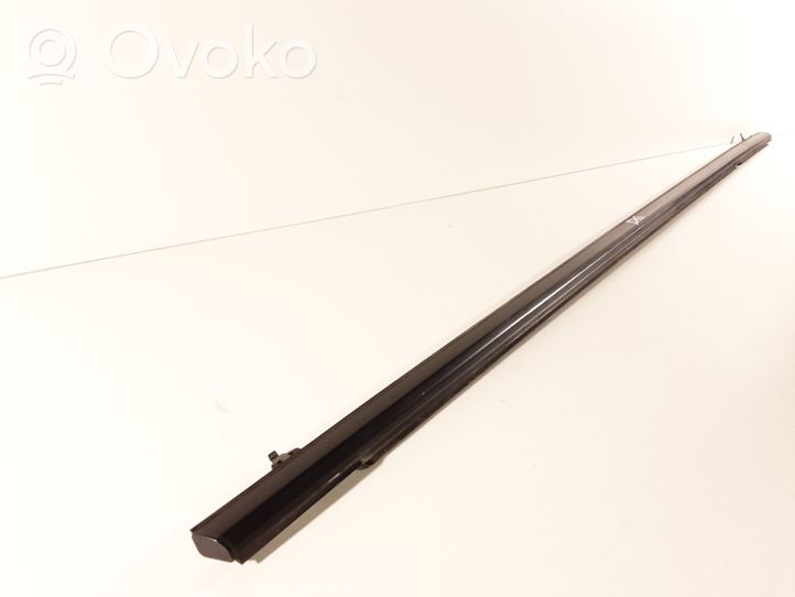 Honda Civic Rear door glass trim molding 