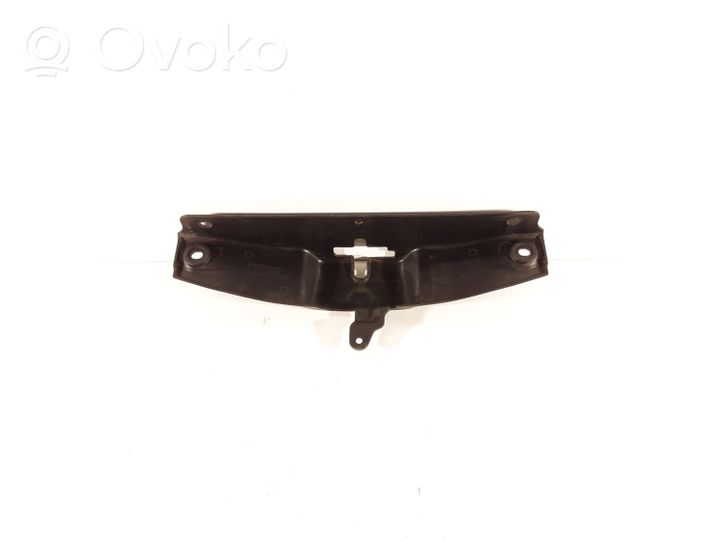 Hyundai Santa Fe Plaque avant support serrure de capot 8119526000