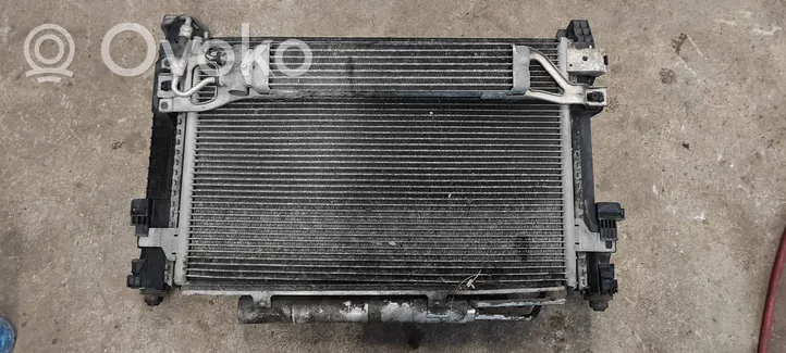 Mercedes-Benz A W169 Radiateur de refroidissement A1695000003