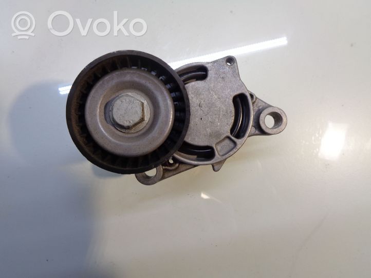 BMW 3 F30 F35 F31 Napinacz paska wielorowkowego / Alternatora 7619248