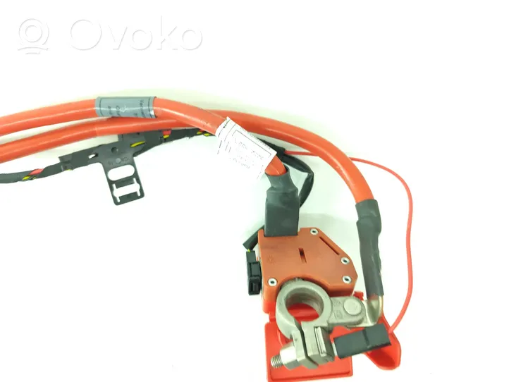 BMW 1 F20 F21 Cable positivo (batería) 9253110