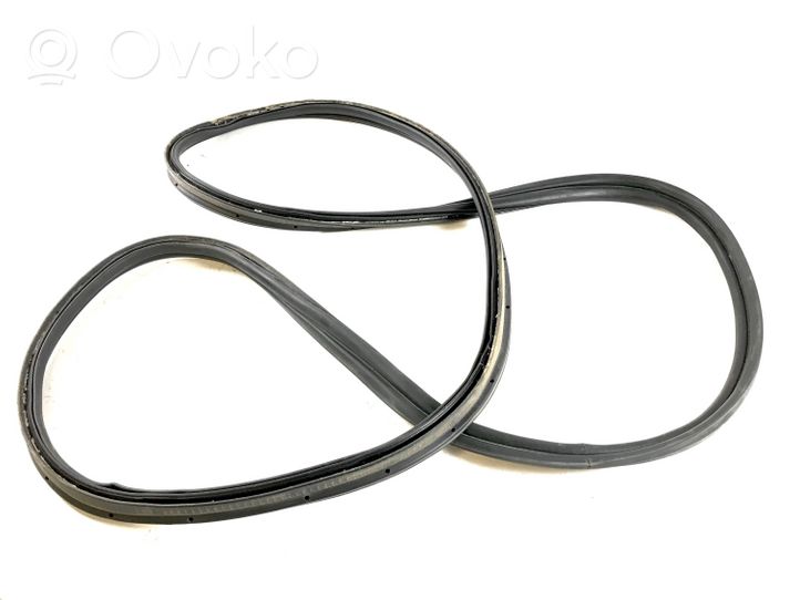 Ford Focus Trunk rubber seal (body) 