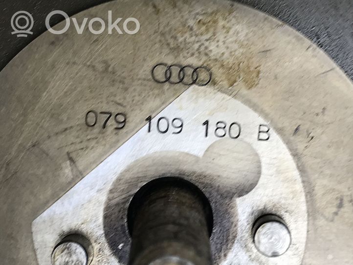 Audi Q5 SQ5 Łańcuch rozrządu 06E109289