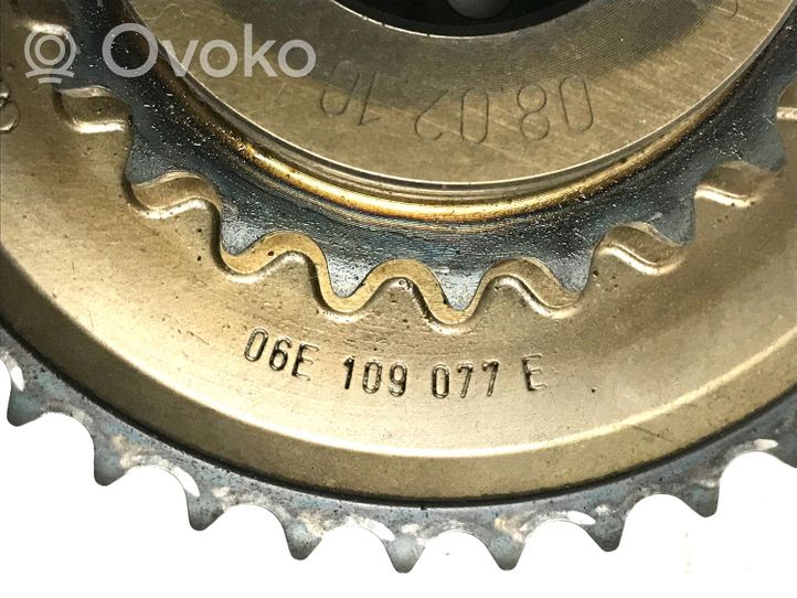 Audi Q5 SQ5 Timing chain (engine) 06E109289