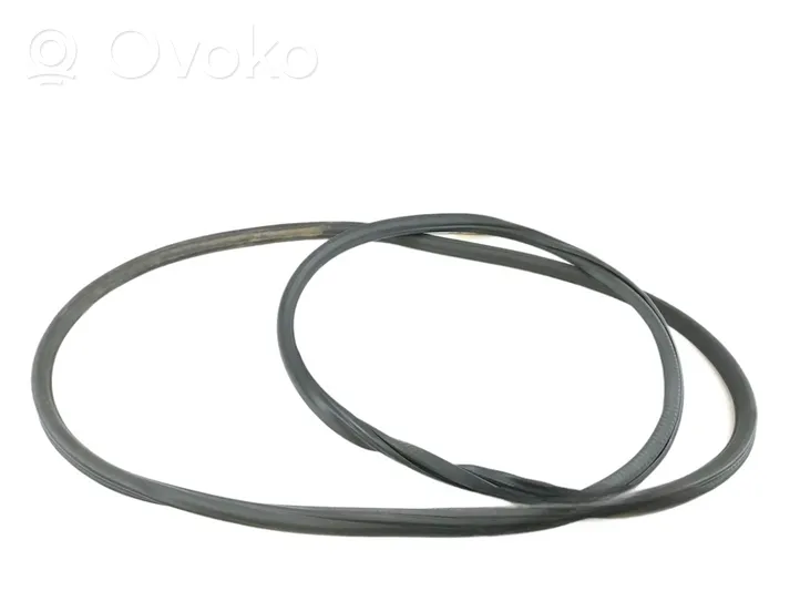 Volkswagen Touareg II Front door rubber seal 7P0867365B