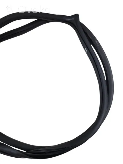 KIA Sportage Front door rubber seal 