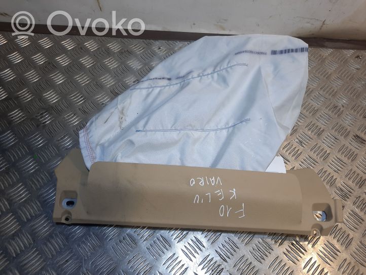 BMW 5 F10 F11 Ceļu drošības spilvens 9181133