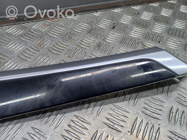 Porsche Panamera (970) Rivestimento della portiera posteriore 970555383