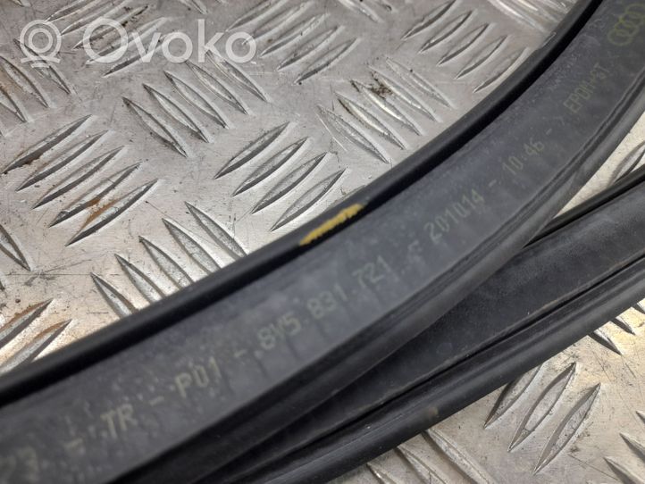 Audi A3 S3 8V Front door rubber seal 8V5831721