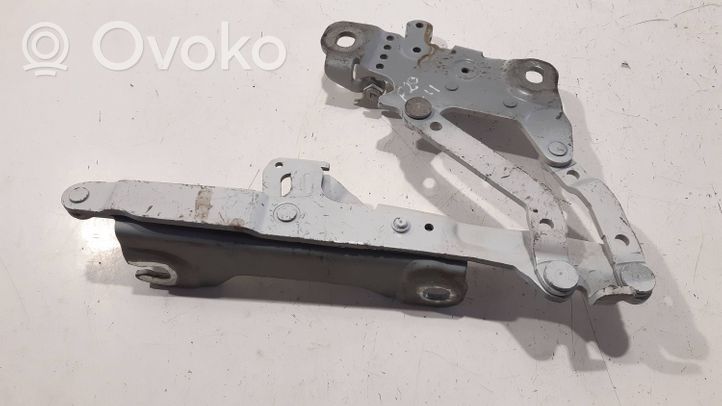 BMW 1 F20 F21 Cerniere del vano motore/cofano 7239416