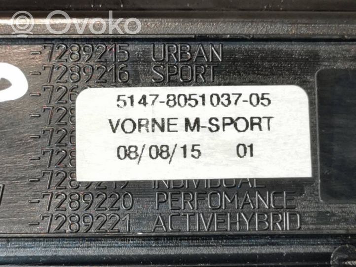 BMW 3 GT F34 Moldura protectora del borde delantero 7289216