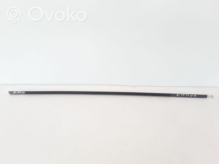 Volvo XC60 Front door glass trim molding 