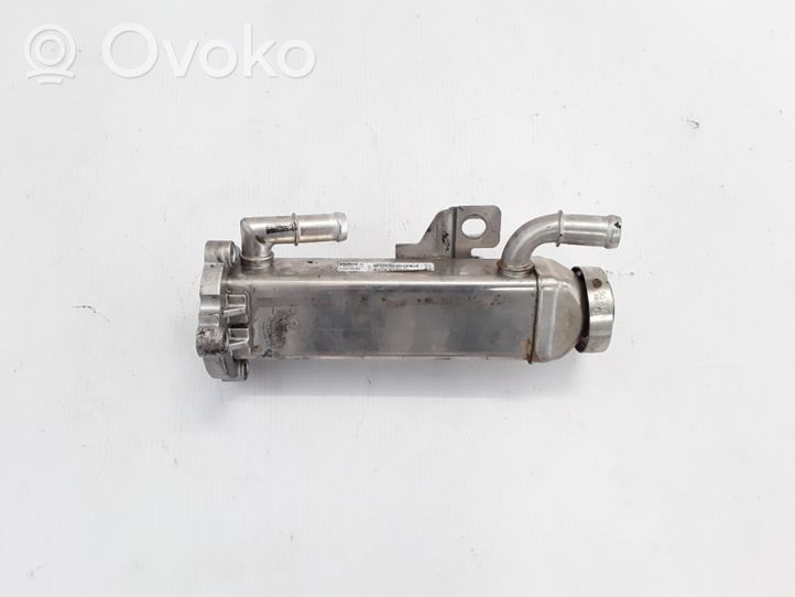 Volvo C70 Chłodnica spalin EGR 31219249