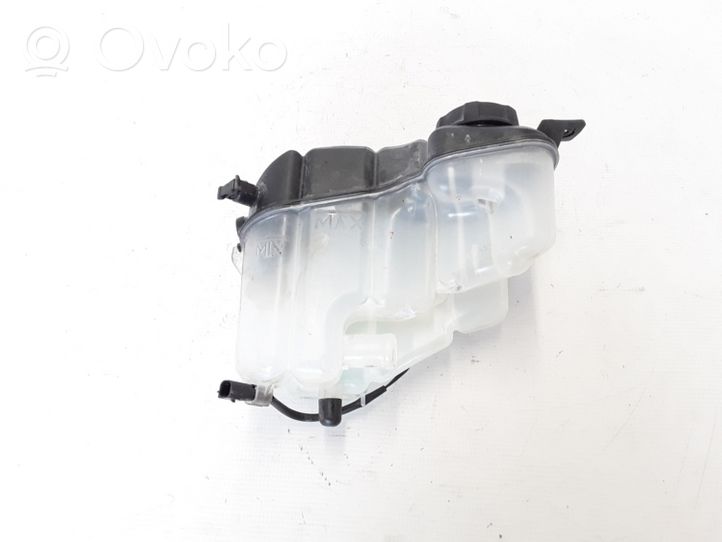 Volvo XC60 Serbatoio di compensazione del liquido refrigerante/vaschetta 