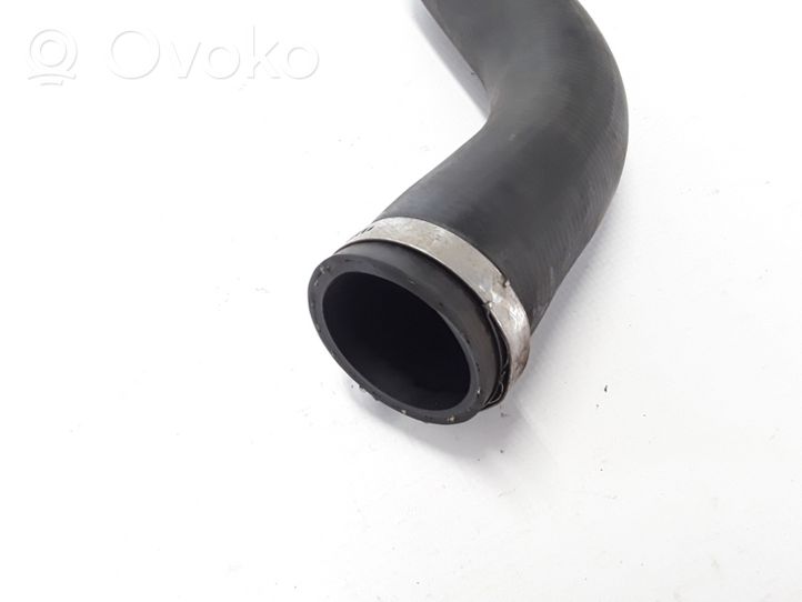 Renault Wind Tube d'admission de tuyau de refroidisseur intermédiaire 10981515D