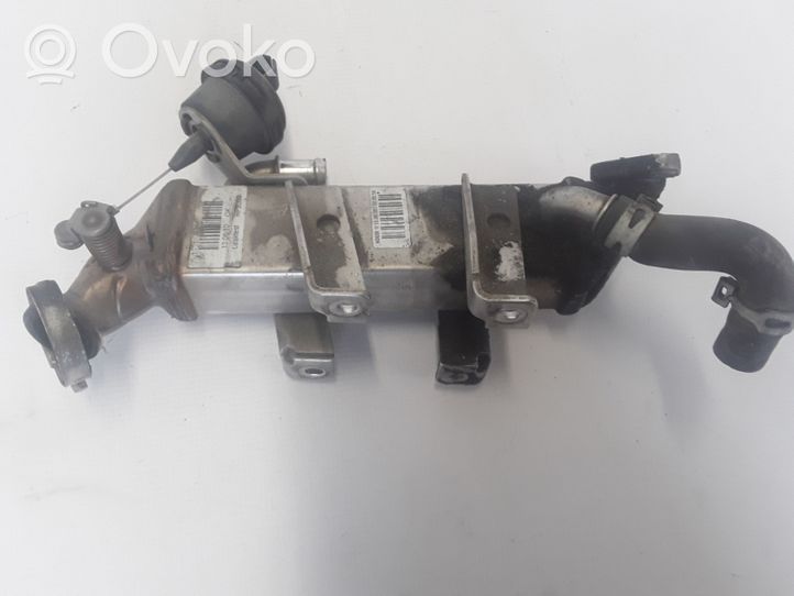 Renault Latitude (L70) EGR-venttiili/lauhdutin 8200719993