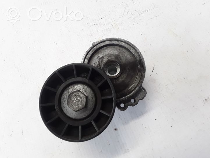 Volvo C70 Napinacz paska wielorowkowego / Alternatora 31251653