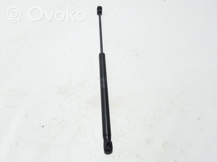 Renault Latitude (L70) Tailgate strut 904520001R