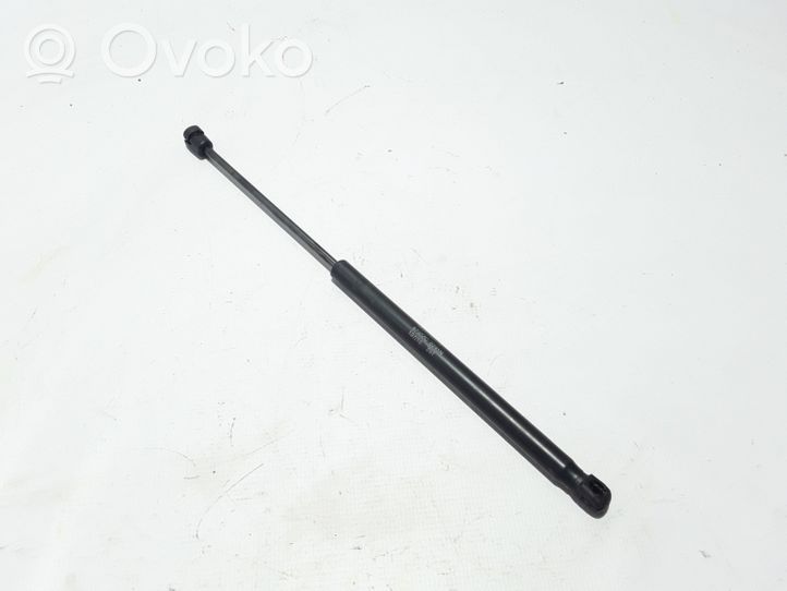 Renault Latitude (L70) Tailgate strut 904520001R