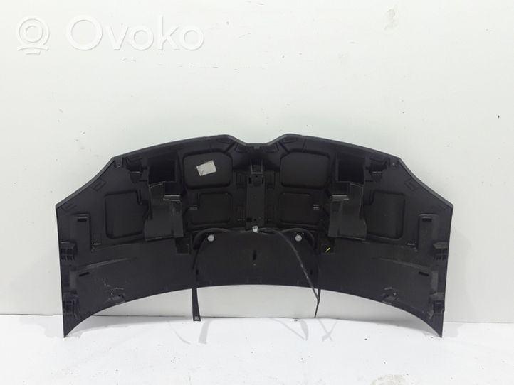 Renault Twingo III Dangtis variklio (kapotas) 651004005R