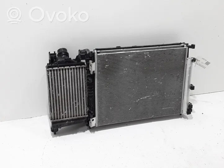 Dacia Sandero III Kit Radiateur 