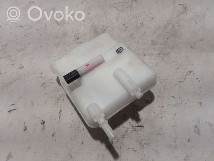 Renault Zoe Brake fluid reservoir 0204850986