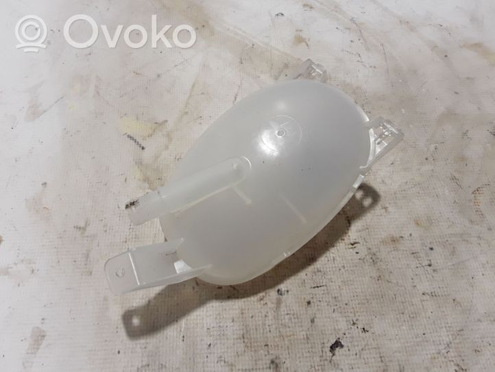 Dacia Duster II Coolant expansion tank/reservoir 217101878R