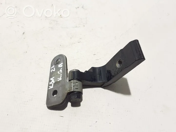 BMW 5 G30 G31 Rear door lower hinge 7420097