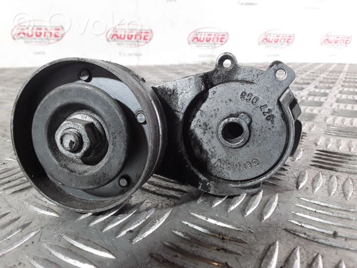 Volkswagen Bora Napinacz paska wielorowkowego / Alternatora 950426