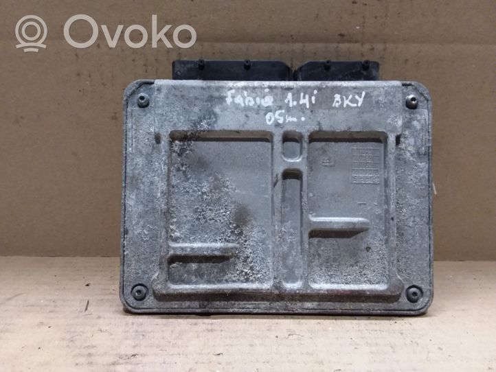 Skoda Fabia Mk1 (6Y) Sterownik / Moduł ECU 036906034JE