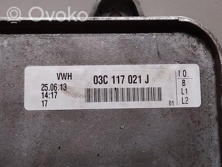 Volkswagen Tiguan Variklio tepalo radiatorius 03C117021J