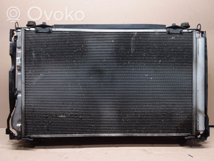 Toyota RAV 4 (XA40) Set del radiatore 1636336100S