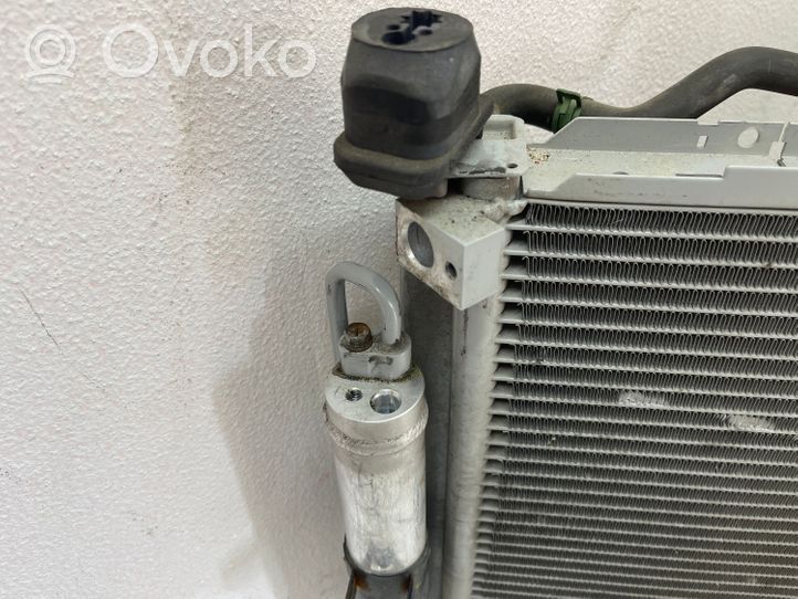 Renault Clio III Kit Radiateur GEO00915