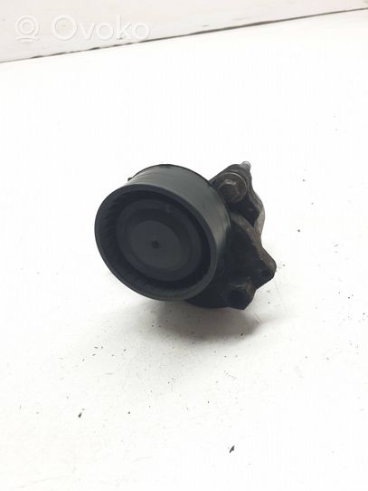 Nissan Qashqai Generatoriaus diržo įtempėjas 117505337R