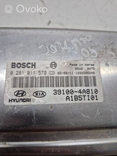 KIA Sorento Calculateur moteur ECU 391004A810