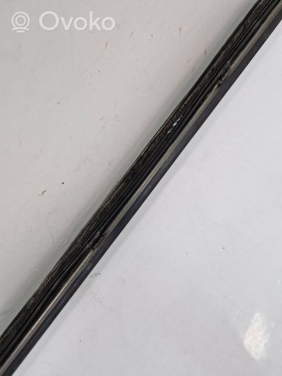 Mercedes-Benz S W220 Front door trim (molding) 