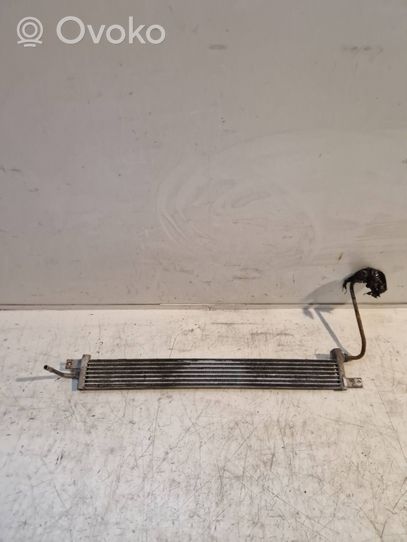 Opel Antara Power steering radiator 