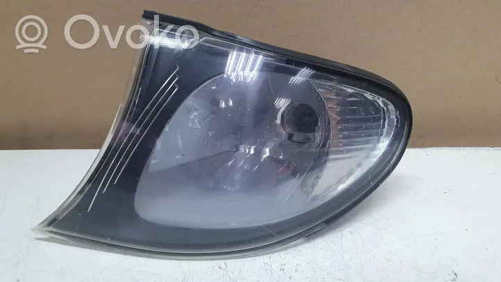 BMW 3 E46 Front indicator light 6914199