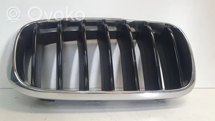 BMW X6 F16 Grille d'aile 7373690